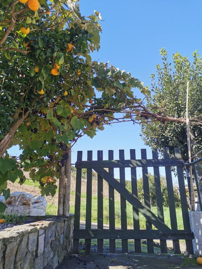 The Far End Surf House - Surf & Yoga Holidays Lourinhã Exterior foto
